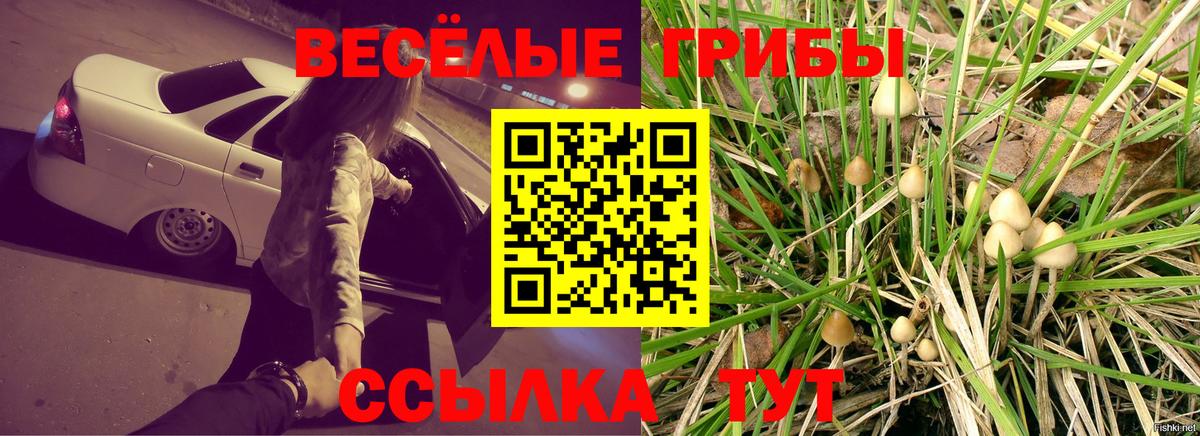 Галлюциногенные грибы MAGIC MUSHROOMS Юрга