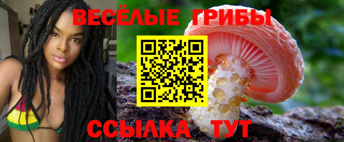 дарнет шоп  Псилоцибиновые грибы прущие грибы  Вход с VPN  Юрга 
